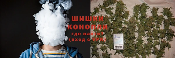 apvp Вяземский