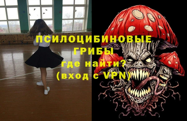 apvp Вяземский