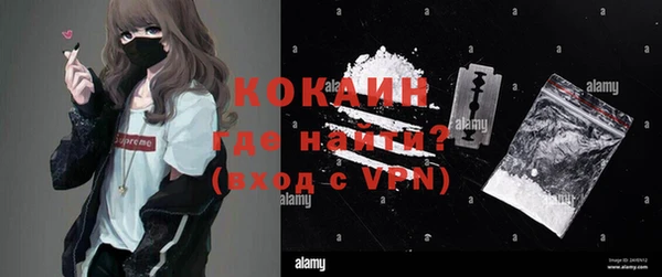 apvp Вяземский
