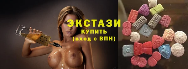 apvp Вяземский