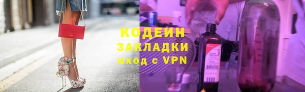 apvp Вяземский