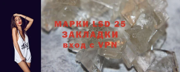 apvp Вяземский
