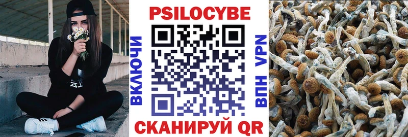 hydra ссылка  Ростов-на-Дону  Псилоцибиновые грибы GOLDEN TEACHER  сколько стоит 